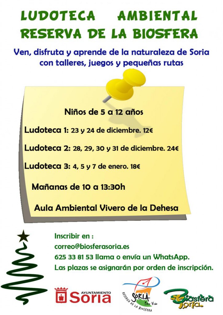 Ludoteca en Soria diciembre 2015