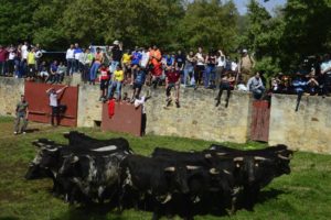 fiestas de san juan soria desencajonamiento